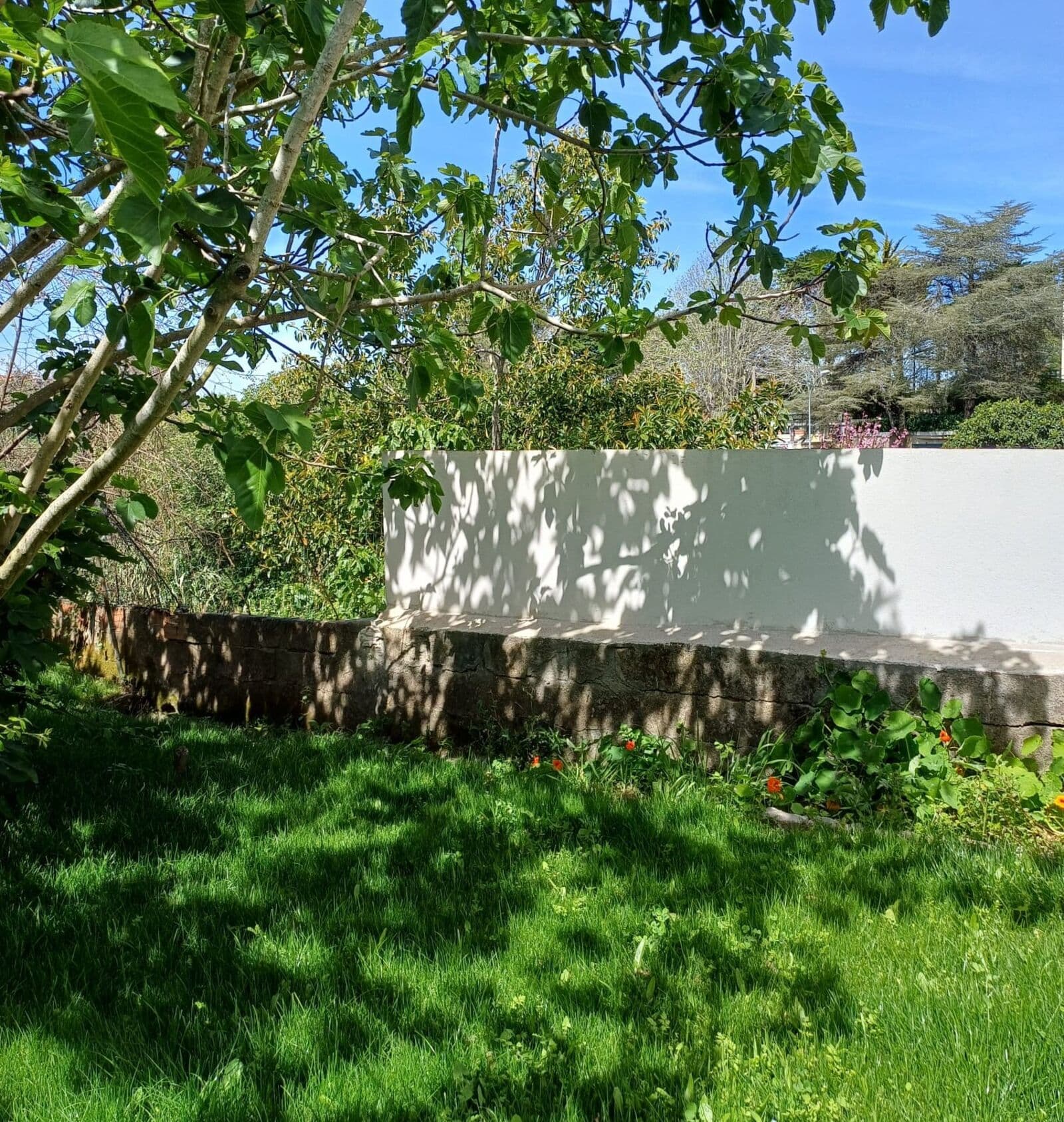 Apartamento T4 com jardim, Sintra - Imagem 26