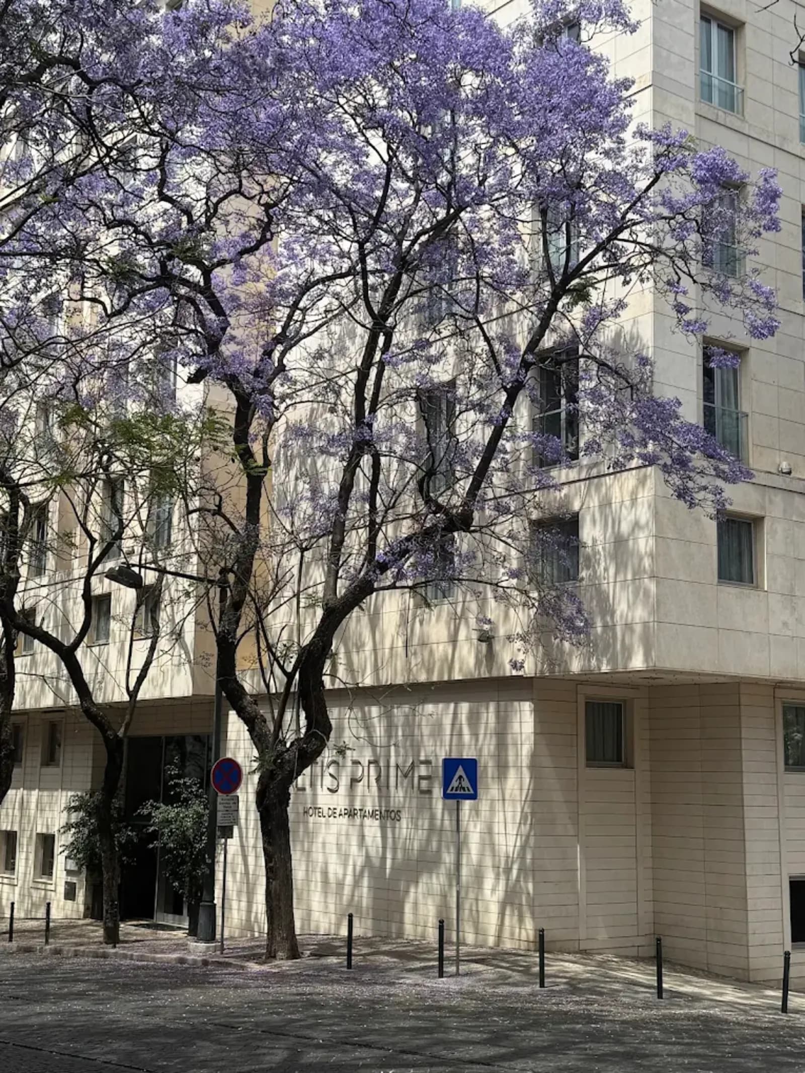 Apartamento T1 com estacionamento, Marquês de Pombal, Lisboa - Imagem 24