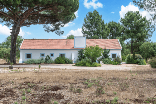 PF40998 - Quinta 4.6 ha, Melides, Grandola - Imagem 2