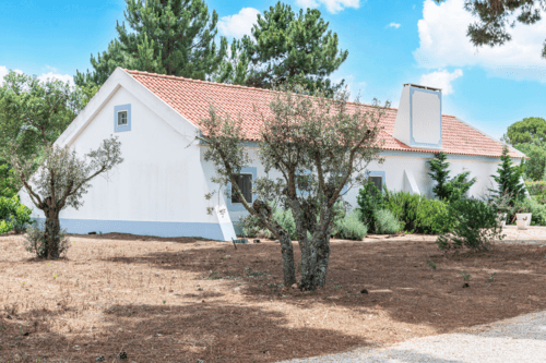 PF40998 - Quinta 4.6 ha, Melides, Grandola - Imagem 5