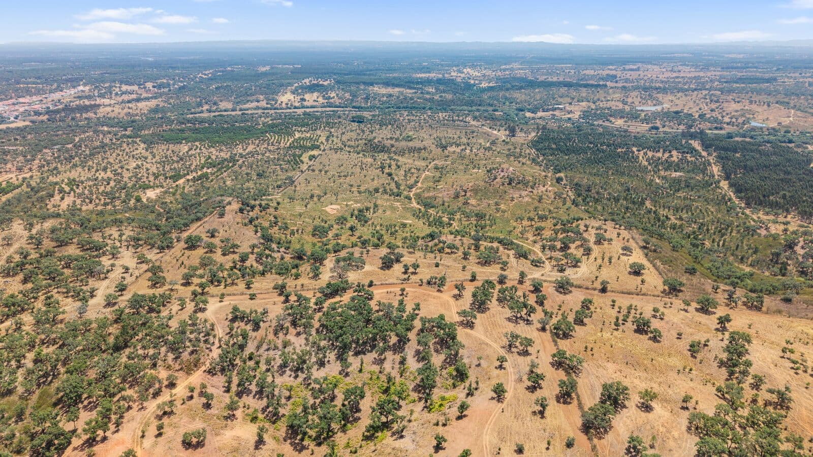 Terreno Rústico 50.0 ha, São Domingos, Santiago do Cacem - Imagem 1