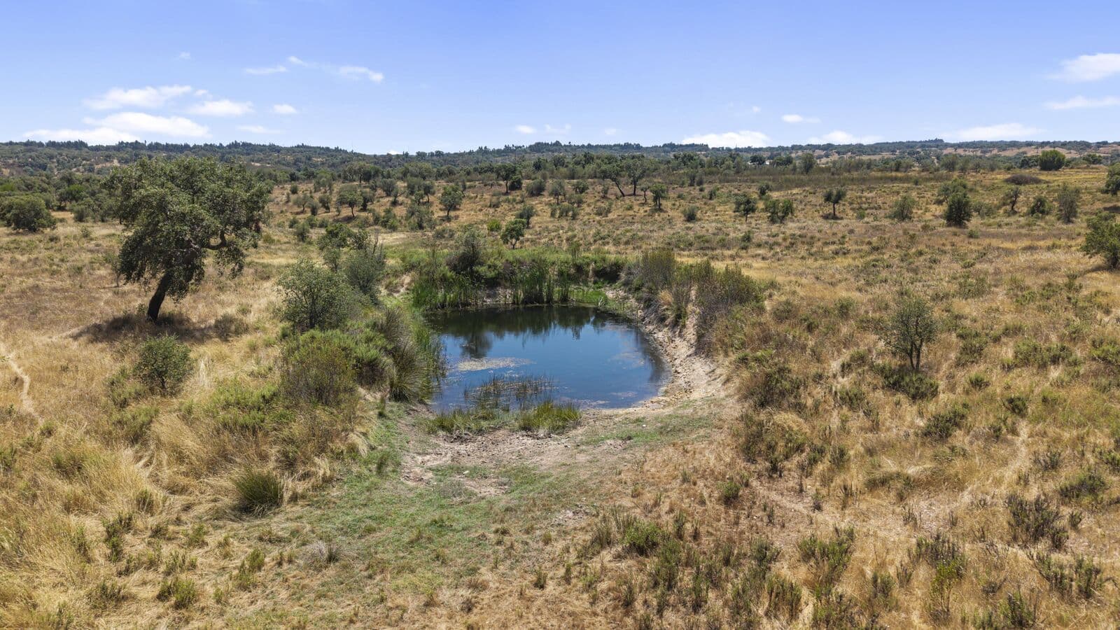 Terreno Rústico 50.0 ha, São Domingos, Santiago do Cacem - Imagem 17