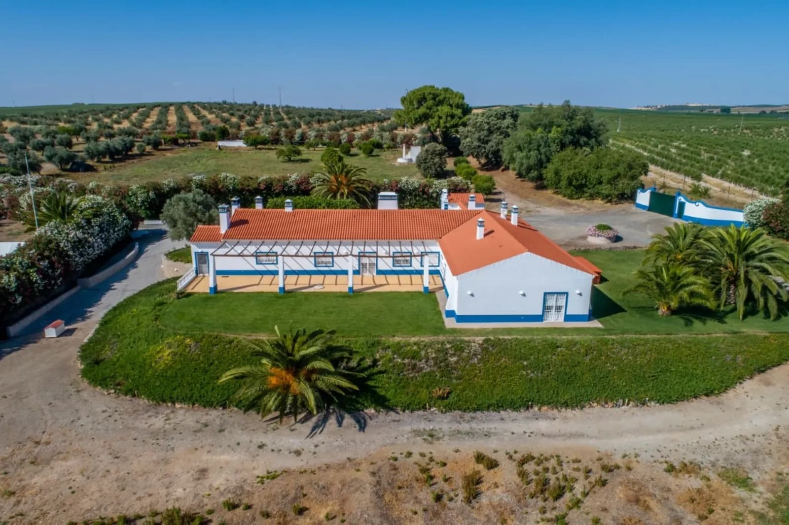 Quinta 29.1 ha, Ferreira do Alentejo - Imagem 3