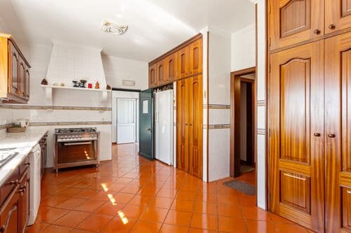 PF41138 - Farm 29.1 ha, Ferreira do Alentejo - Image 5
