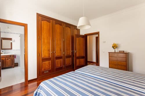 PF41138 - Farm 29.1 ha, Ferreira do Alentejo - Image 6