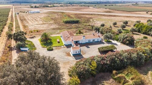 PF41138 - Farm 29.1 ha, Ferreira do Alentejo - Image 36