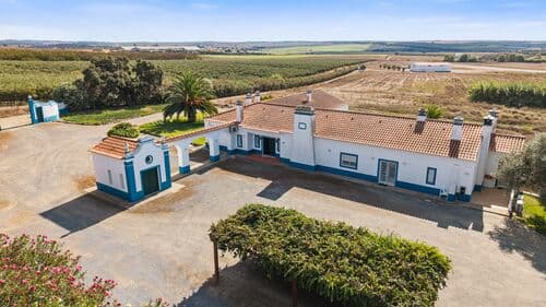 PF41138 - Farm 29.1 ha, Ferreira do Alentejo - Image 1
