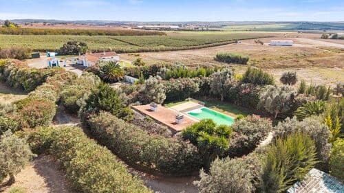 PF41138 - Farm 29.1 ha, Ferreira do Alentejo - Image 34