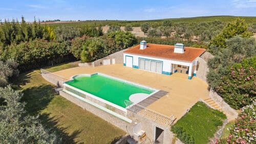 PF41138 - Farm 29.1 ha, Ferreira do Alentejo - Image 35