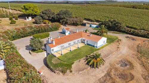 PF41138 - Farm 29.1 ha, Ferreira do Alentejo - Image 2