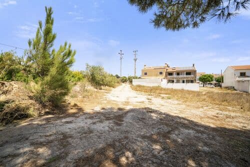 PF41325 - Terrain urbain 1600 m2, Melides, Grandola - Image 14