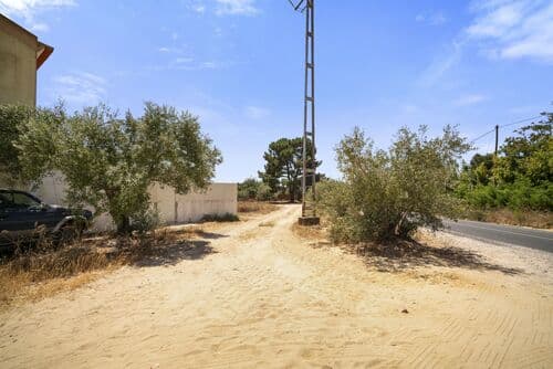 PF41325 - Terrain urbain 1600 m2, Melides, Grandola - Image 2
