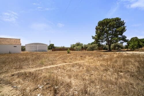 PF41325 - Terrain urbain 1600 m2, Melides, Grandola - Image 9