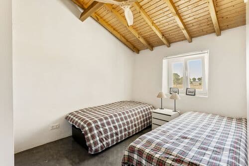 PF41335 - Quinta 17.3 ha, Pavia, Mora - Imagem 17