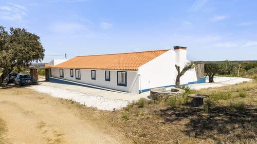PF41335 - Quinta 17.3 ha, Pavia, Mora - Imagem 29