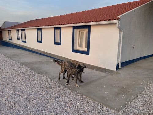 PF41335 - 3 Bedroom Detached house with swimming pool, Mora - Image 22
