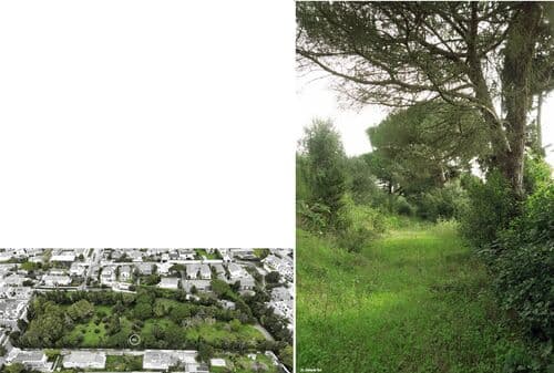 PF41455 - Lote 518 m2, Aldeia de Juso, Cascais - Imagem 38