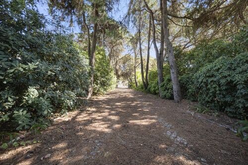 PF41455 - Lote 518 m2, Aldeia de Juso, Cascais - Imagem 9
