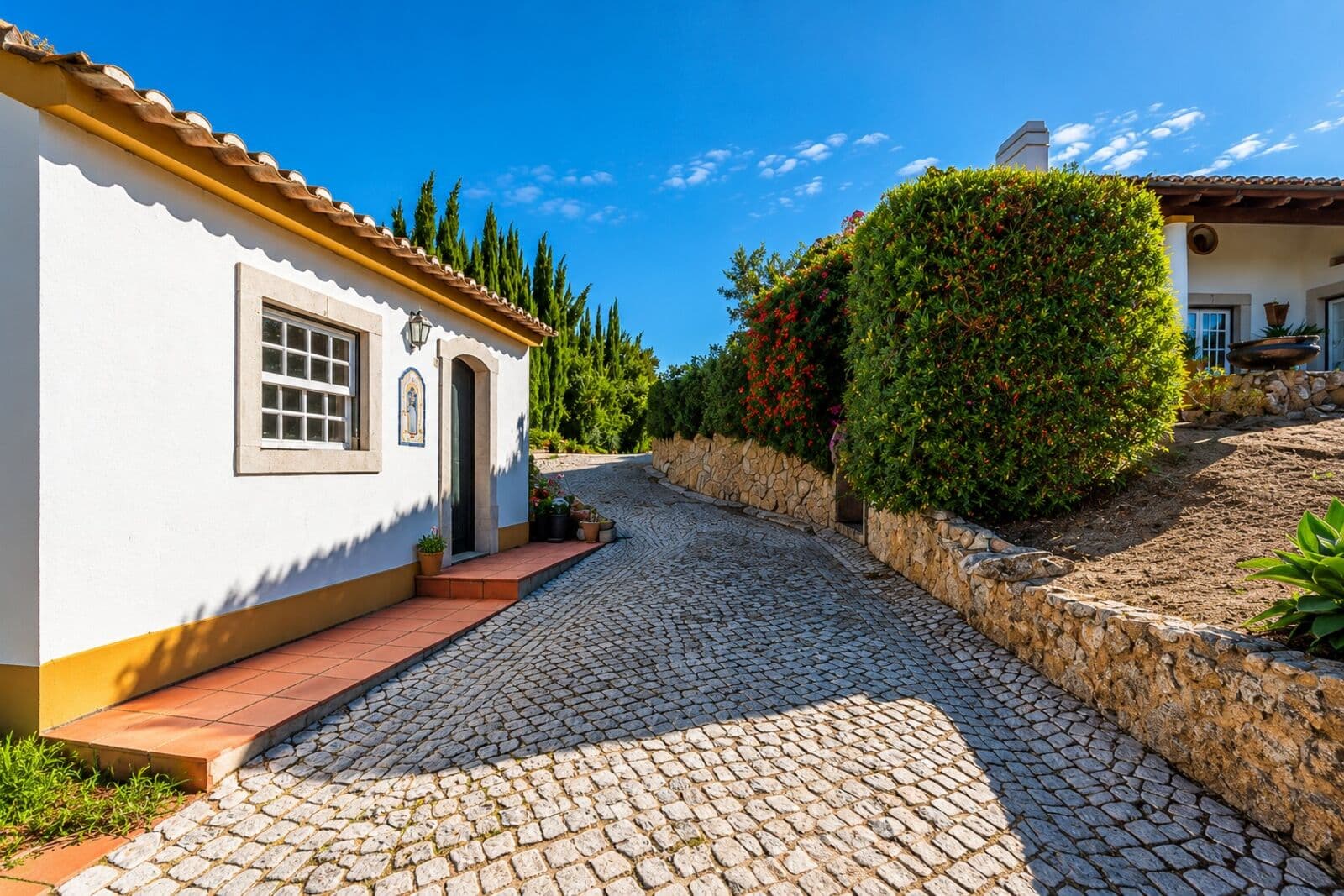 Quinta 9000 m2, Azeitão, Setúbal - Imagem 18